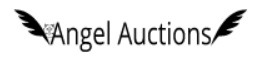 Angel Auctions